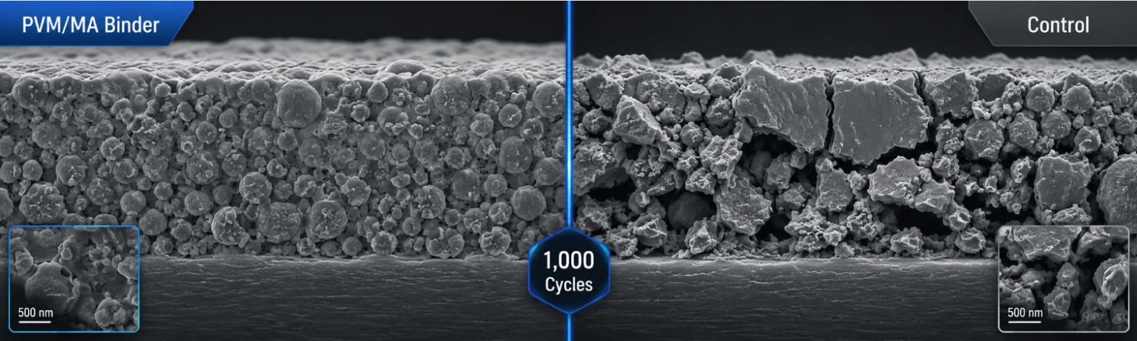 Cross-Sectional SEM Micrograph of Silicon Anode with PVM/MA Binder after 1,000 Cycles
