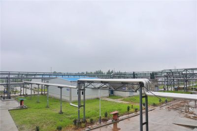 Хубэй Синьцзин Цзянлин Новый завод