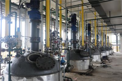 Хубэй Синьцзин Цзянлин Новый завод